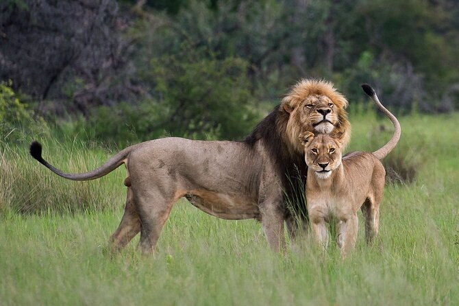 07-Days Murchison Falls, Queen Elizabeth & Gorillas Safari - What this seven-day Uganda safari actually delivers