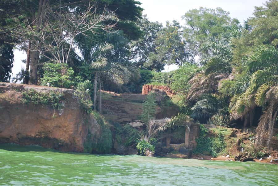 1-Day Best of Entebbe City Guided Walking Tour - A full day of Entebbe on foot