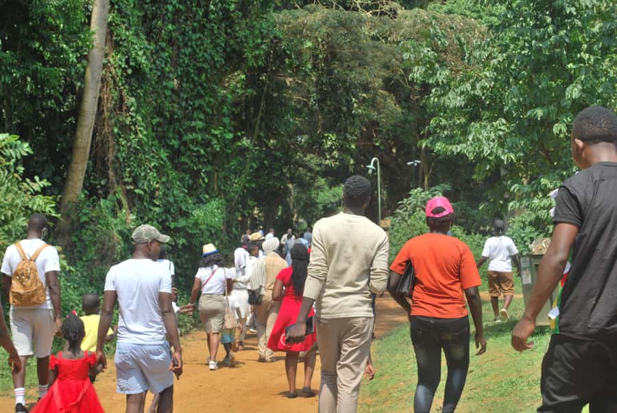 1-Day Best of Entebbe City Guided Walking Tour - Nambi fish market beside the lake