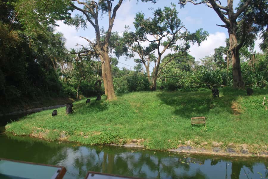 1-Day Best of Entebbe City Guided Walking Tour - The Rolex lesson and lunch stop