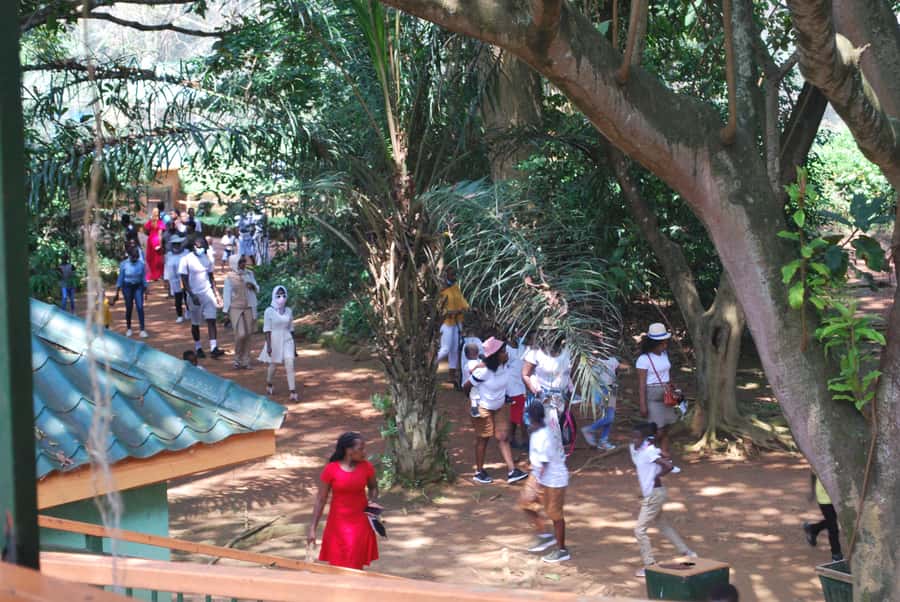 1-Day Best of Entebbe City Guided Walking Tour - Starting at Victoria Mall
