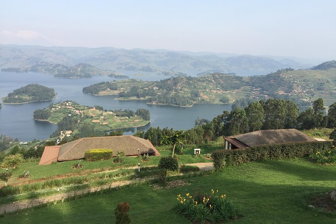 1 Day Gorilla Trekking Mgahinga Gorilla NP & Lake Bunyonyi - Hiking through Mgahinga or Bwindi