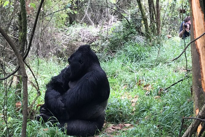 1 Day Gorilla Trekking Mgahinga Gorilla NP & Lake Bunyonyi - The people behind the day