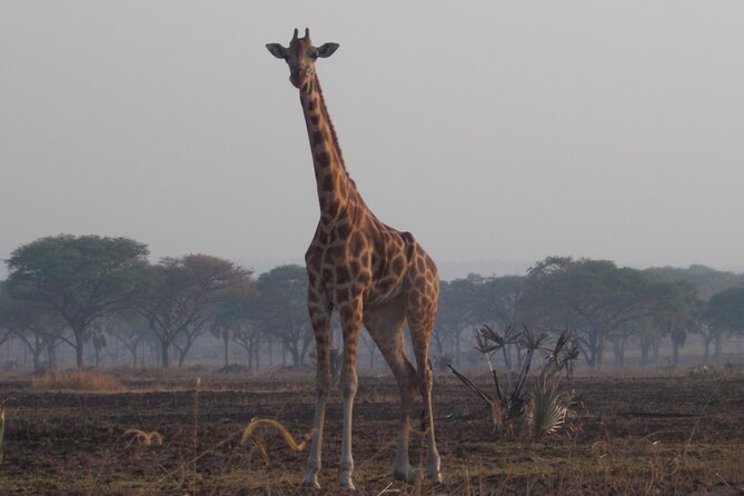 1 Day Lake Mburo Wildlife Safari - The 6:00 am start sets the pace