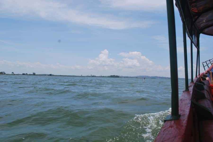 1-Day Mabamba Shoebill Birding Tour in Lake Victoria Entebbe - The 40-minute boat ride across Lake Victoria