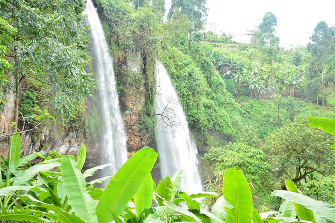 1 Day Sipi falls hike - The guides are the real strength of the day