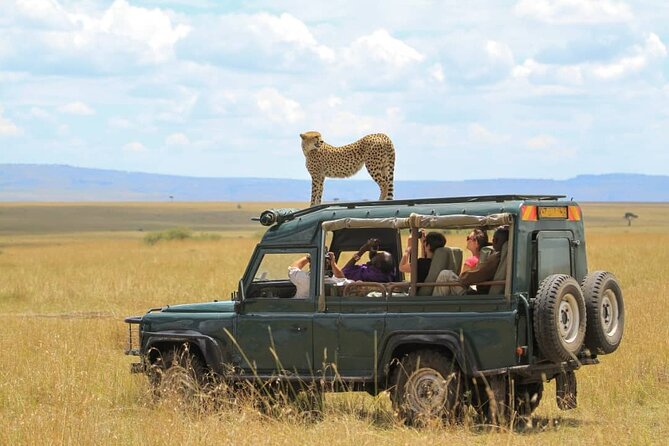 10-Day African Safari in Uganda from Kampala - Day 6: Queen Elizabeth National Park and Marafiki Safari Lodge
