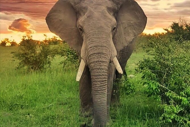 10-Day African Safari in Uganda from Kampala - Day 8: Check the Lake Mutanda schedule carefully