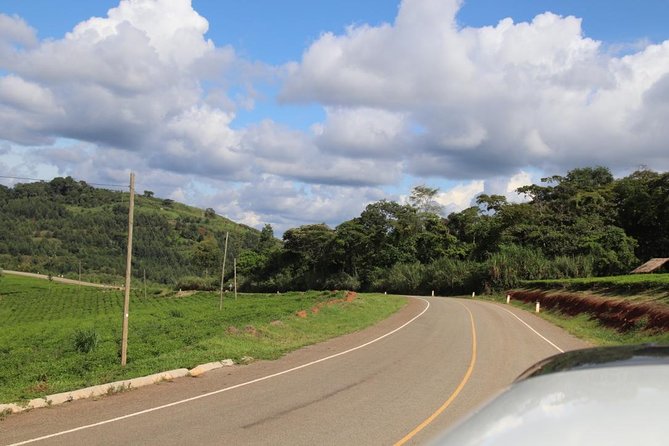 10 Day Western Uganda Budget Wildlife Safari - Day 3: A six-hour transfer to Kibale Forest