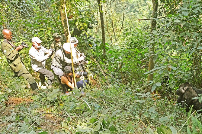 10 Days Affordable Gorilla Trekking Holiday - Day 6: Tree-climbing lions and the road to Bwindi