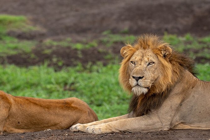 10 Days Private Uganda Safari with Pick-up - Why this Uganda route works so well