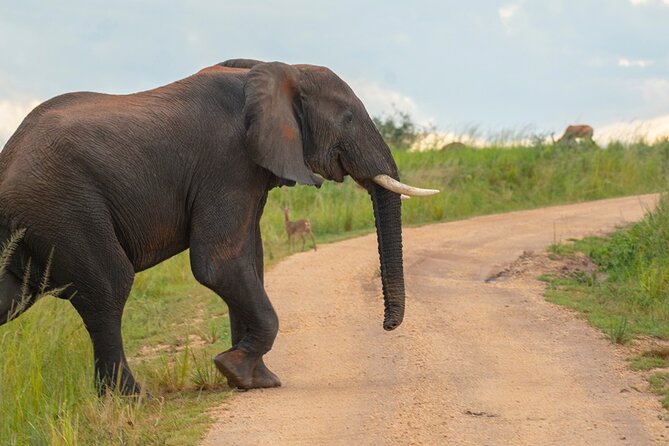 10 Days Private Uganda Safari with Pick-up - Day 1: Equator stop and Lake Mburo wildlife