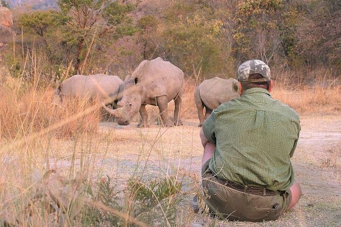 11-Day African Big 5 with Gorilla Trekking Safari in Uganda. - Ziwa Rhino Sanctuary and the long road north