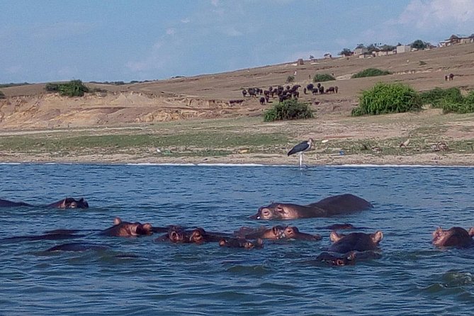 11 Days Uganda +Gorillas - Lake Bunyonyi: a calmer finish