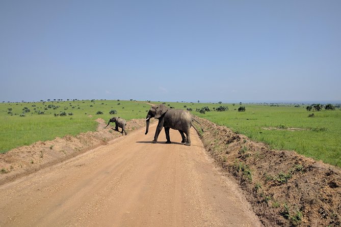11 Days Uganda +Gorillas - What the private 4x4 setup means