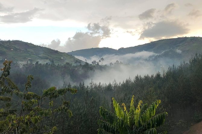 12 Day Affordable Safari-Gorilla and Primate Track Uganda - What the $1,030.77 price really covers