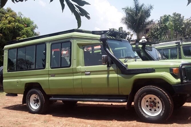 12-Day Moderately Priced Pearl of Africa - Uganda Private Safari - Day 2 and 3: Ziwa rhinos and the force of Murchison Falls