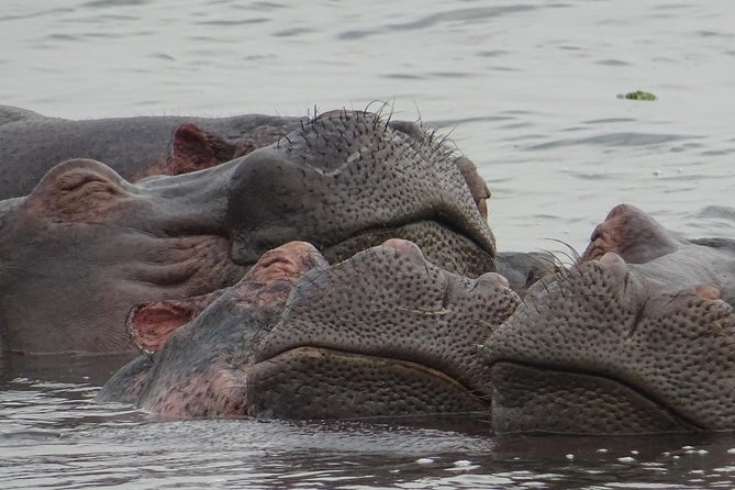 12 Days Memorable Experience tour in Uganda - Kidepo Valley after a long northern drive