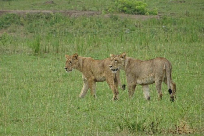 12 Days Memorable Experience tour in Uganda - Murchison Falls and the Nile at full force
