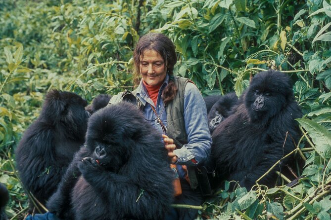 13 Days Wildlife Adventure Trip To The Pearl Of Africa - From Entebbe to Kampala, getting the first night right