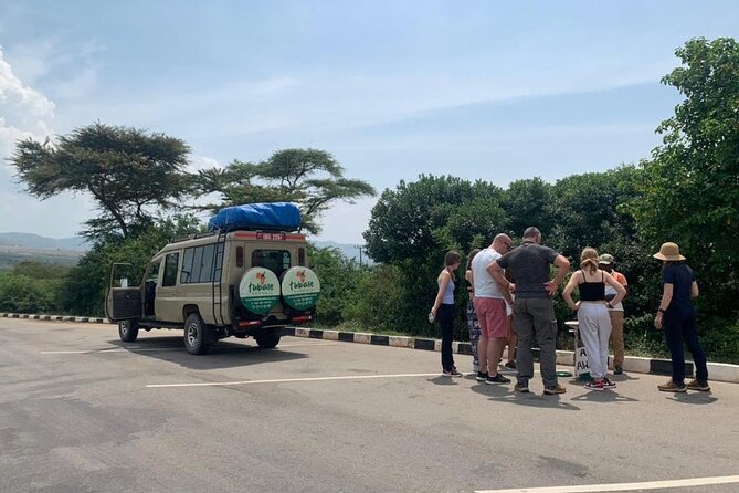 13 Days Wildlife Adventure Trip To The Pearl Of Africa - Day 4 and 5: Tea country and a full chimp habituation day