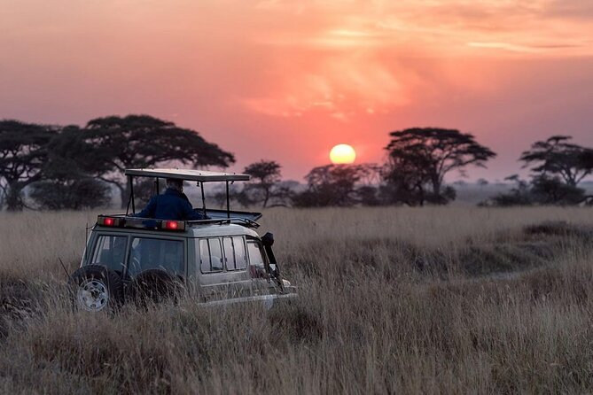 13 Days Wildlife Adventure Trip To The Pearl Of Africa - Day 10: The gorilla trek that shapes the whole trip