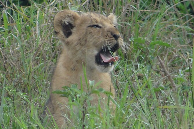 14 Days Uganda Safari Adventure, Gorilla Trekking and WildlifeTour - Day 6: Returning to Queen Elizabeth and the Kazinga Channel