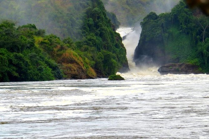 15 Day Gorillas, Chimps and Big 5 Safari Tour - Days 3 and 4: Semuliki’s hot springs and a schedule to clarify