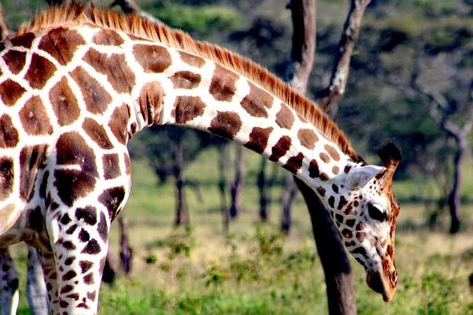 2-Day Wildlife Safari in Lake Mburo National Park - What the $512 price includes
