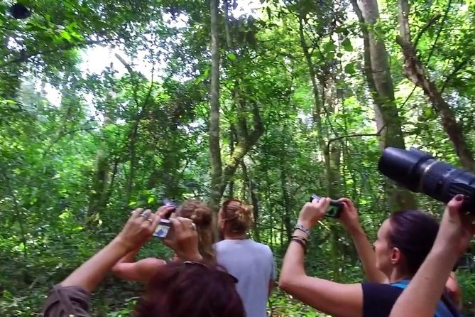 2 Days Chimpazee Safari In kibale Forest Park Uganda. - Practical preparation for the two days
