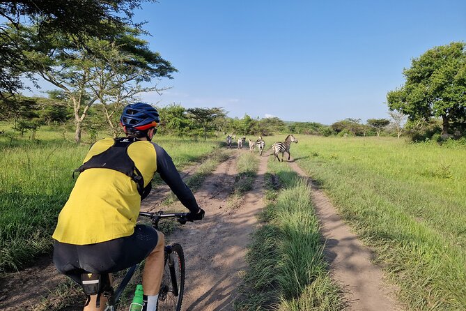 2 Days Cycling Safari To Lake Mburo National Park - Key points before you book