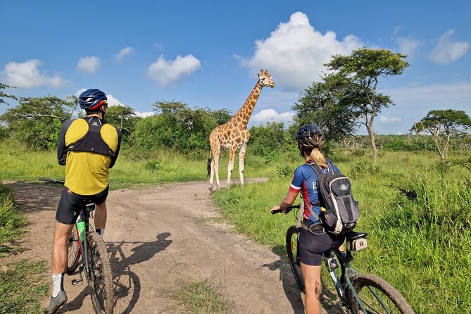 2 Days Cycling Safari To Lake Mburo National Park - The night safari is not included