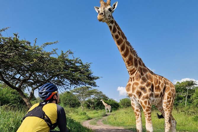 2 Days Cycling Safari To Lake Mburo National Park - Is $575 per person good value?