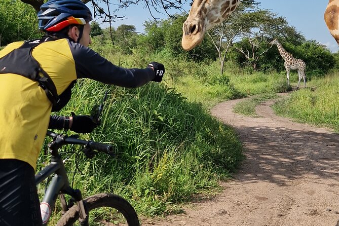 2 Days Cycling Safari To Lake Mburo National Park - Who will enjoy this trip most?
