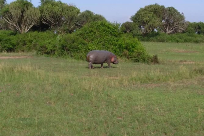 2 Days Family Safari to Murchison Falls Park Uganda - What the $2,100 group price really covers