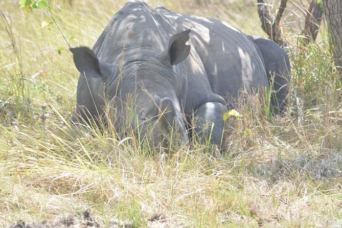 2 days Murchison Falls and Wildlife Game Viewing - The boat ride below Murchison Falls