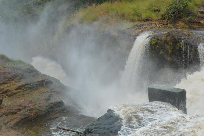 2 days Murchison Falls and Wildlife Game Viewing - Optional rhino tracking at Ziwa