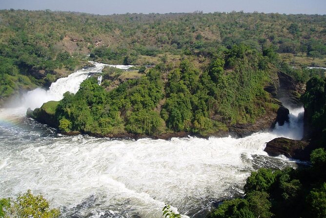 2 Days Murchison Falls Park Vacation - Key reasons to consider this safari