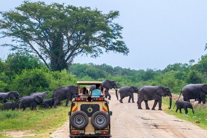 2 Days Murchison Falls Park Vacation - Why this two-day plan works, and where it feels rushed