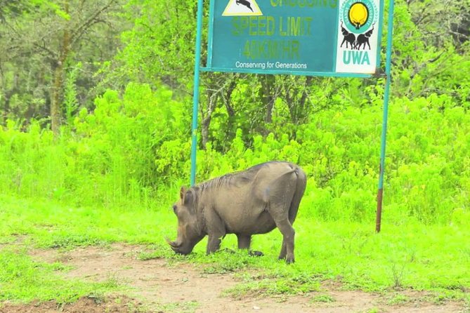 2 Days Popular Safari to Lake Mburo National Park - The Nshara Gate game drive