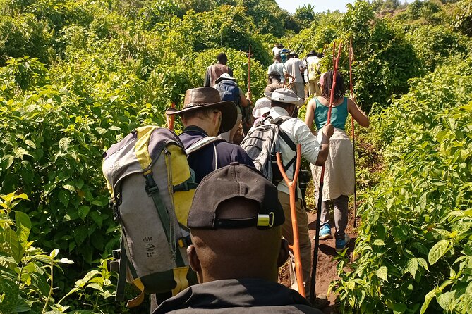 2 Days Sipi Falls Hike and Coffee Tour - Day two: hiking to all three Sipi Falls