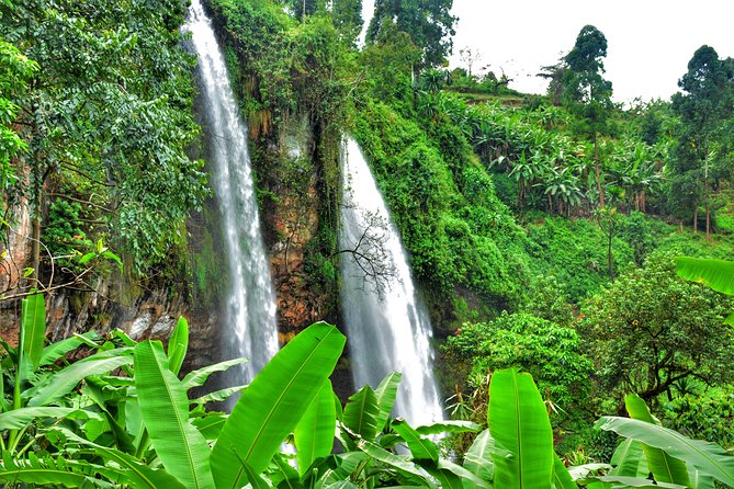 2 Sipi Falls hike and Coffee Tour Experience - Why Sipi Falls is worth the trip