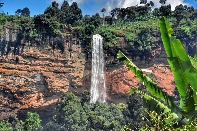 2 Sipi Falls hike and Coffee Tour Experience - Fitness, safety, and practical preparation