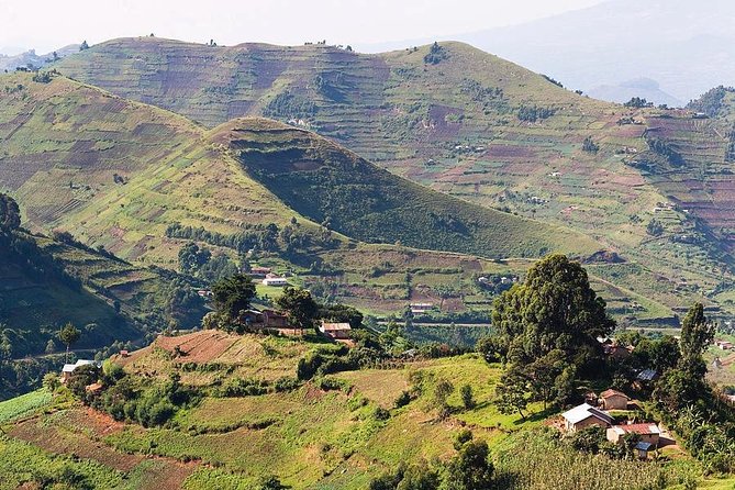 2days Bwindi NP gorilla trekking - Who should book this short gorilla trip?