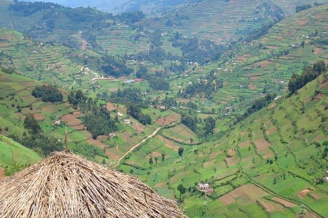 2days Bwindi NP gorilla trekking - Booking and cancellation details worth noting