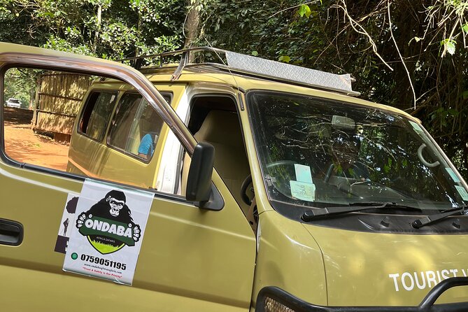 2Days Murchison Falls NP Safari - Day two: an early game drive through the park