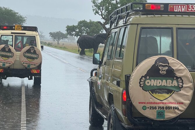 2Days Murchison Falls NP Safari - Who will enjoy this trip most