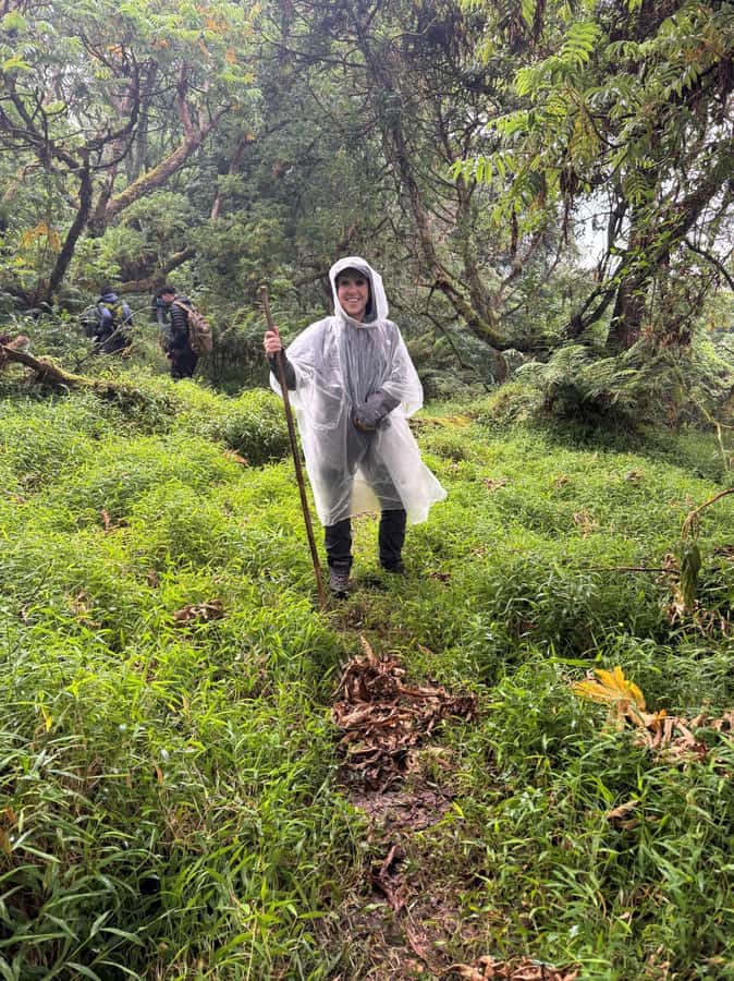 3-Day Gorilla Experience In Uganda - The guide and driving service