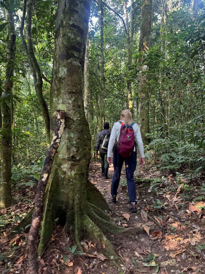 3-Day Gorilla Experience In Uganda - What to pack for a muddy forest day