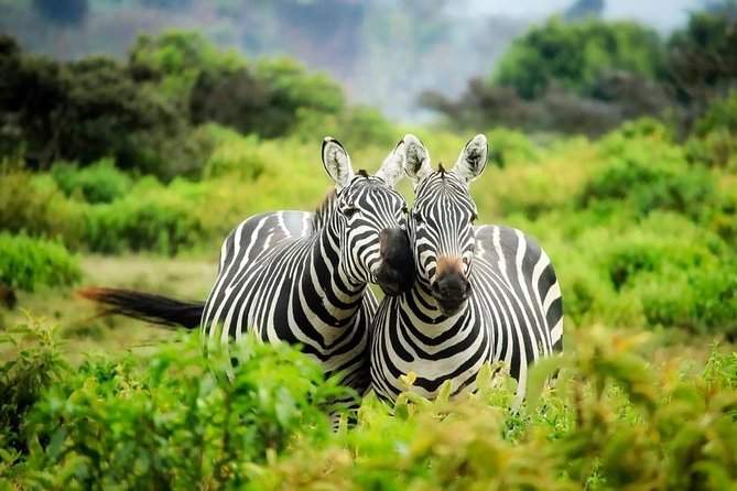 3-Day Mind Refreshing in Murchison Falls National Park - What the $1,600 price really covers